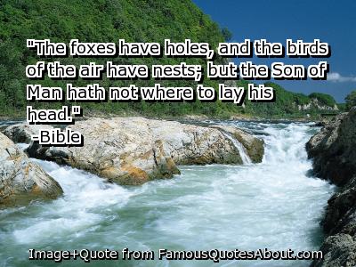 The-foxes-have-holes