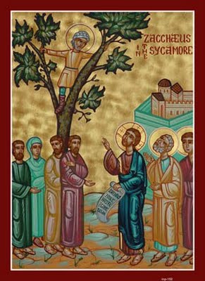 zacchaeus-sycamore-tree